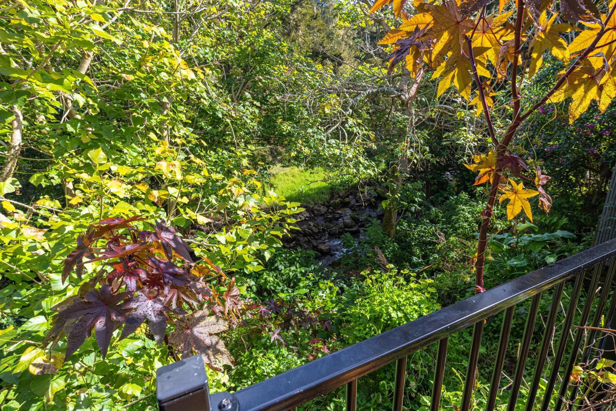 Waimoana Garden Accommodation 황거레이 외부 사진