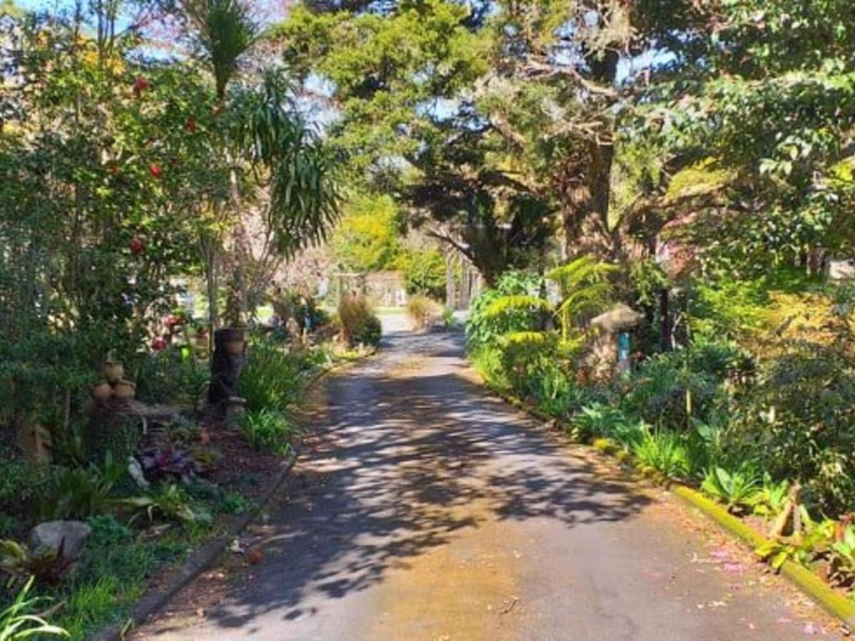 Waimoana Garden Accommodation 황거레이 외부 사진